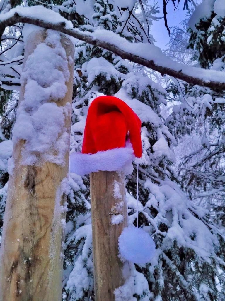 fb_img_17557975819521218348780300270561