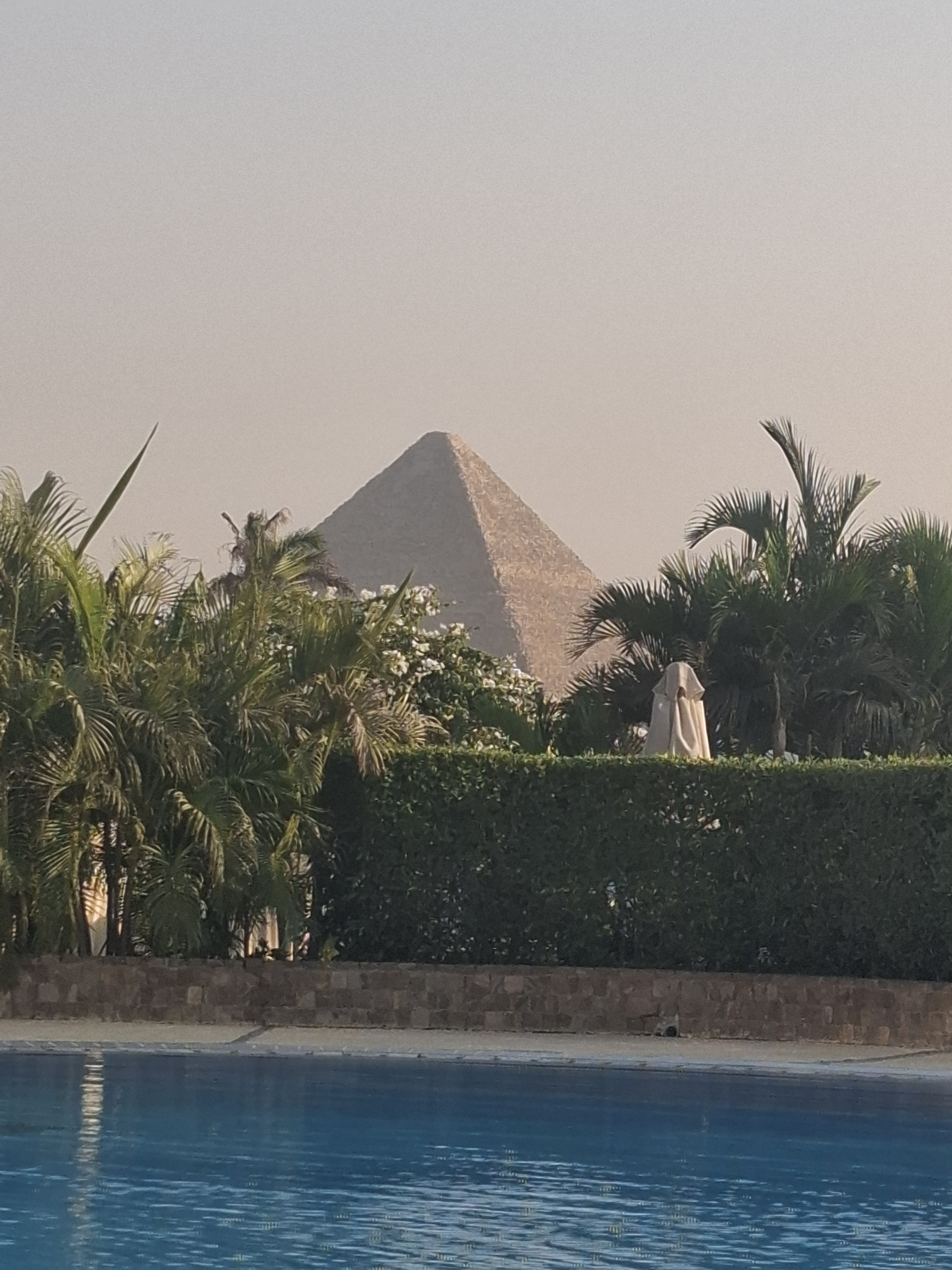 View of a pyramid in Giza framed by green palm trees and a swimming pool.