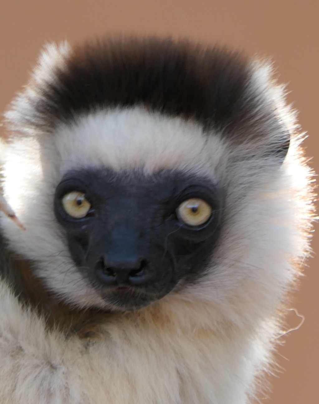 Madagascar: A World&nbsp;Apart